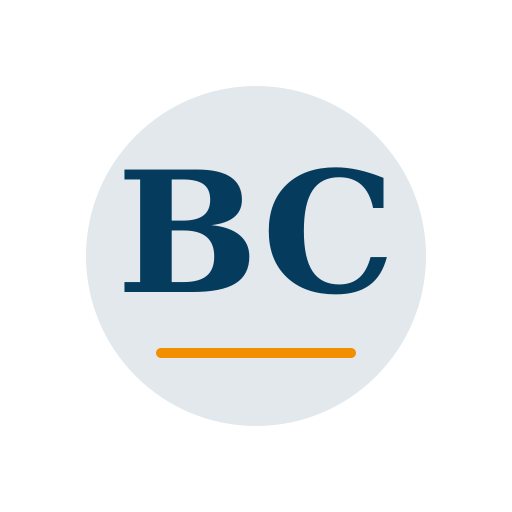 Basin Chimney Service logo